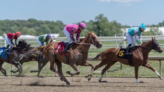 2026 Preakness Stakes: Odds, post time and how to watch at Laurel Park