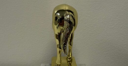Behold, the Elon Musk jackass trophy