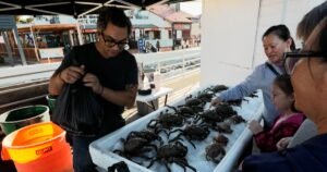 Local seafood takes center stage at San Diego farmer's market for fish