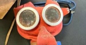 Rare World War 2 item created by Walt Disney discovered after 80 years