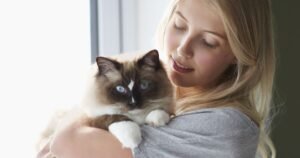 What cats really think when you hug and kiss them