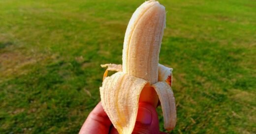 Gardeners urged to bury banana peels in soil this June