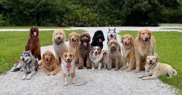 ‘I’m an animal expert and this breed is the fussiest’