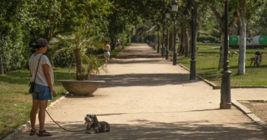 Pet expert reveals the breeds that suffer most in a heatwave