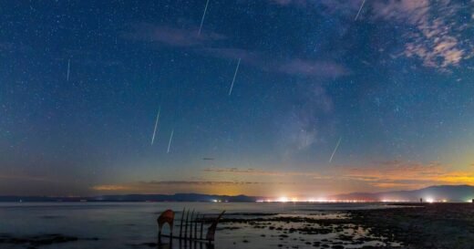 June Bootids meteor shower peaks and you can photograph it on phone | Nature | News