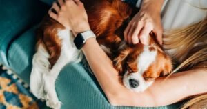 Dog owners urged not to do 1 thing on Friday