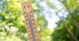 Woman floored as heatwave ’causes unexpected fruit to grow in garden’