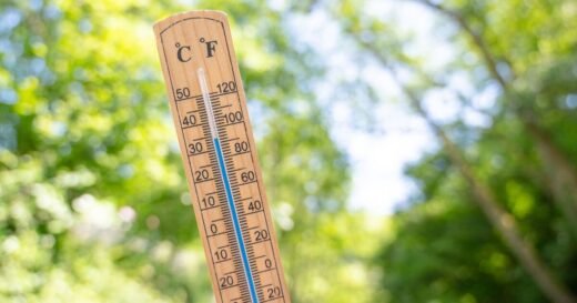 Woman floored as heatwave ’causes unexpected fruit to grow in garden’