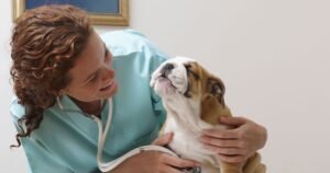 ‘I asked 4 vets which dog they’d never own and 3 said same breed’