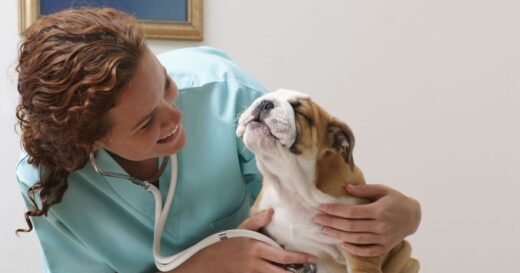 ‘I asked 4 vets which dog they’d never own and 3 said same breed’