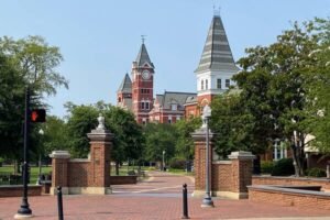 Auburn Board Takes Curricular Control, Dissolves Senate