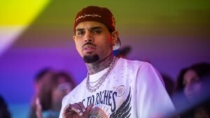 Chris Brown’s Dog Mauling Trial Scrapped Due to Juror Misconduct