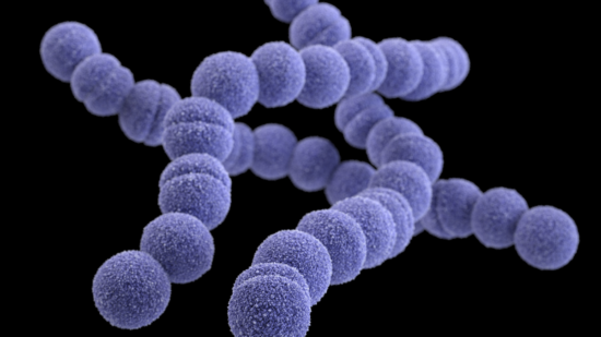 About Group A Strep Infection | Group A Strep