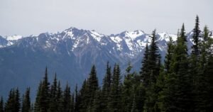 Human remains found in sleeping bag in national park identified after 26 years