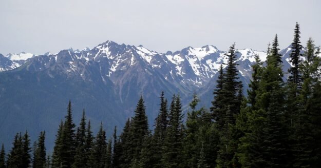 Human remains found in sleeping bag in national park identified after 26 years