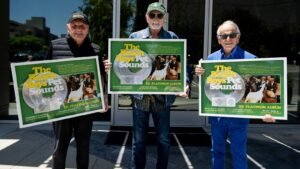 See Mike Love and Al Jardine Play Pet Sounds Deep Cuts on Their Tours