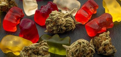 Edible Marijuana Dangers: How Parents Can Prevent THC Poisoning
