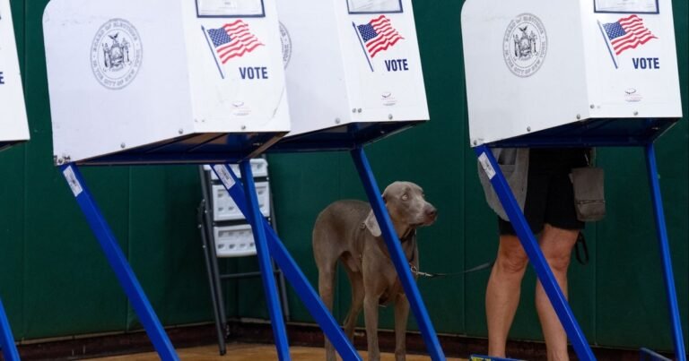 Critical primary elections underway in New York, South Carolina