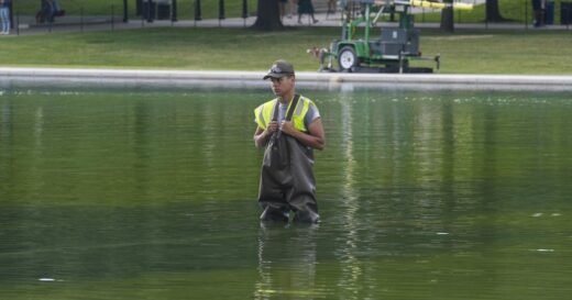 New problems arise for the Reflecting Pool after Trump's renovations