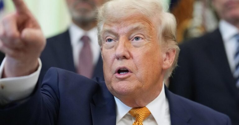 Trump administration planning to increase citizenship application fees