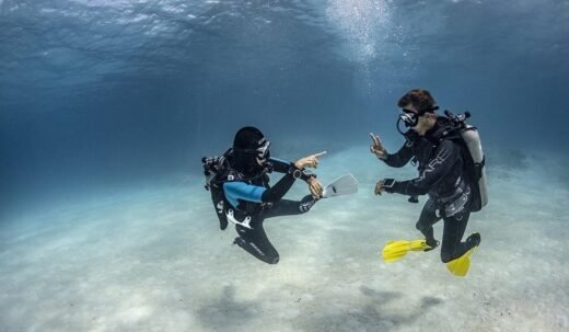 Diver Safety – Divers Alert Network