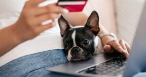 Should you use a credit card to pay for pet care?