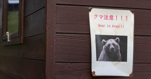 Bear rampages through 2 factories and a residential area in Japan, injuring 4 people