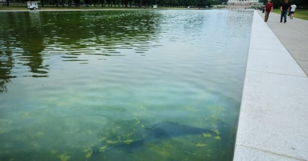 Rips appear in Reflecting Pool’s new sealant, chosen by Trump, after algae turn water green