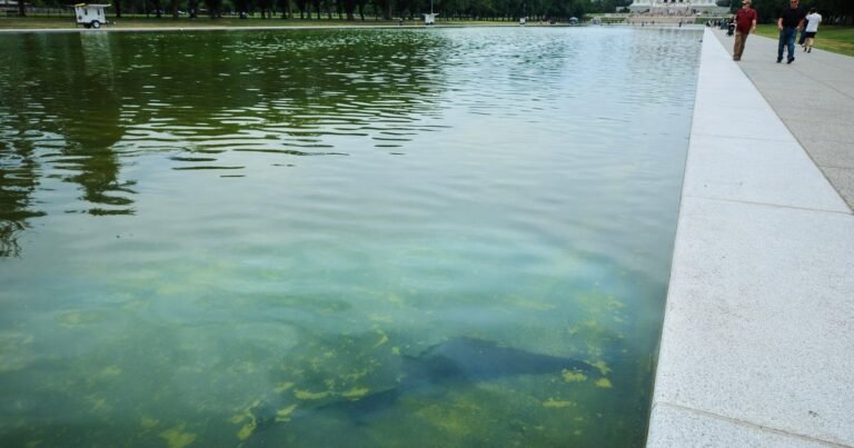 Rips appear in Reflecting Pool’s new sealant, chosen by Trump, after algae turn water green