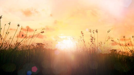Finding a New Normal: Life After a Natural Disaster | Natural Disasters