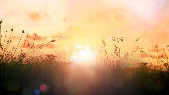 Finding a New Normal: Life After a Natural Disaster | Natural Disasters