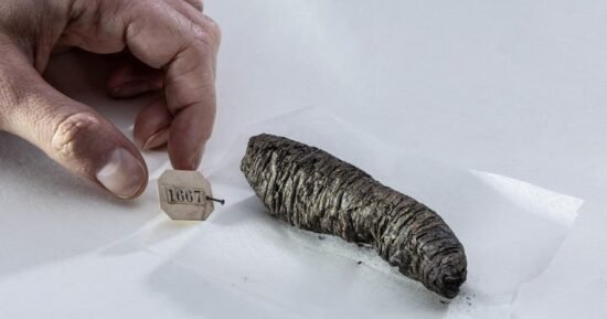 Scientists decipher new secrets from ancient scrolls scorched by Vesuvius eruption: “Finally able to read them”