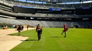 World Cup grass fields will spark NFL turf conversation, Stu Holden says
