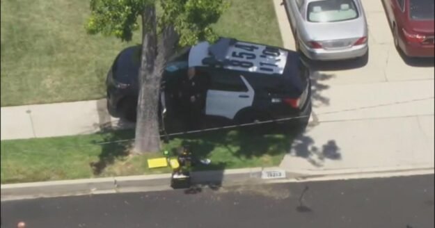 Actor James Handy allegedly killed by girlfriend’s son in Tarzana neighborhood