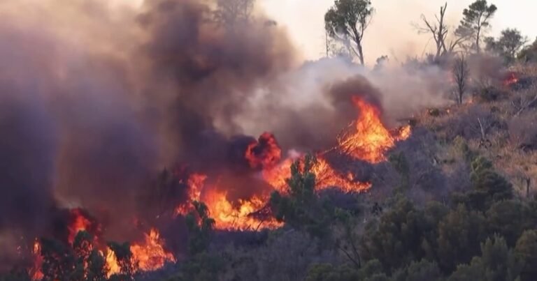 Sicily battles wildfires, its history of Mafia sparking flames resurfaces