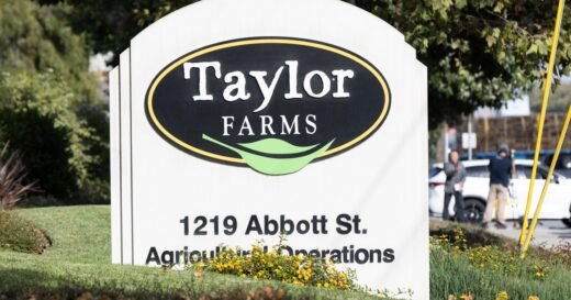 Taylor Farms CEO pressed by lawmaker over cyclospora outbreak and White House ties