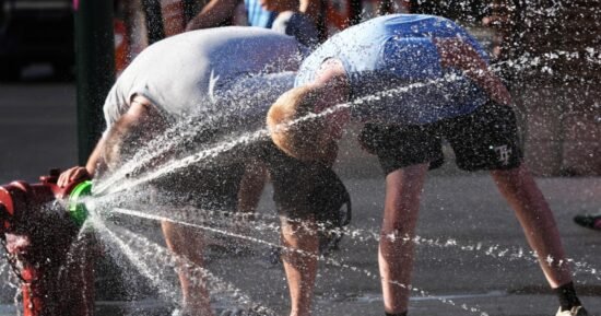 Ocean surface temperatures hit record high