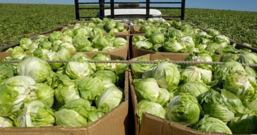 Cyclosporiasis outbreak expands to 9 states