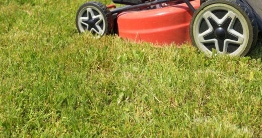 Monty Don’s gardening mistake that could ruin your lawn