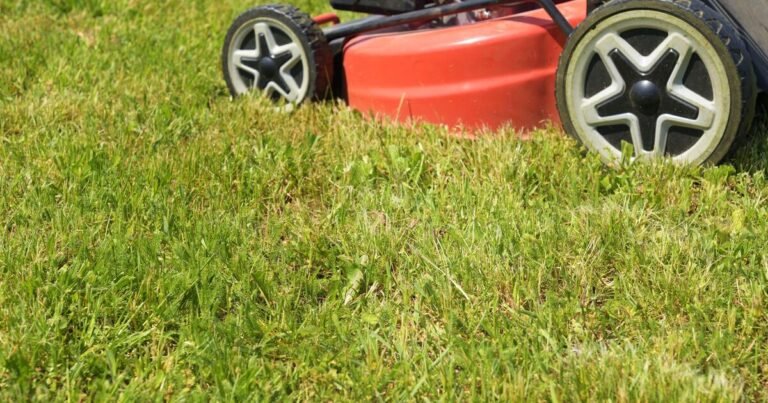 Monty Don’s gardening mistake that could ruin your lawn