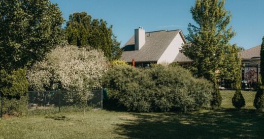 Resident livid after neighbour reports them for leaving item on lawn