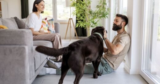 3 tell-tale signs in dog’s body language shows you’re the favourite