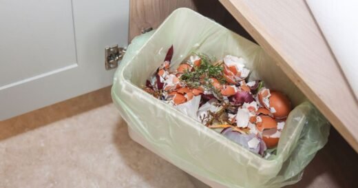 Little-known kitchen staple that stops food waste bin odours