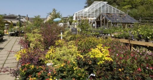 Iconic garden centre announces UK closure after 36 years