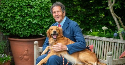 Monty Don posts update on dog Ned and fans say ‘poor baby’