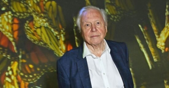 David Attenborough’s advice to owners of 15 million dogs in the UK