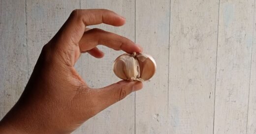 Save time peeling garlic with simple method so it ‘slides off’