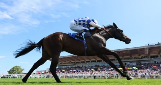 Claim a free pair of horse racing tickets | Racing | Sport
