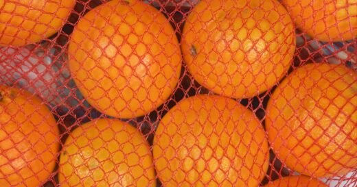 Don’t throw away net packaging – there’s clever use for your house