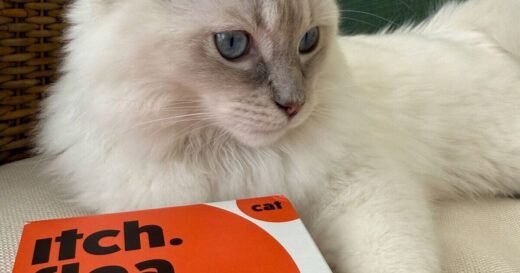 ‘I have found no fleas on my cat’ says pet owner using free treatment